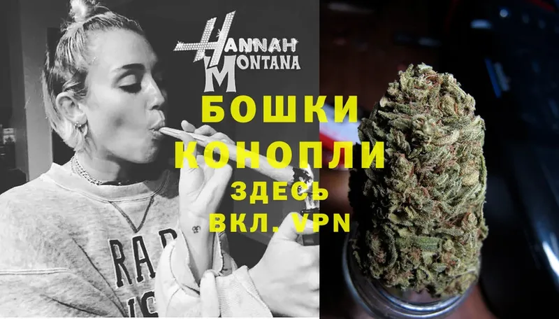 Марихуана THC 21%  Бакал 